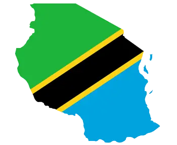 howo tanzania -20